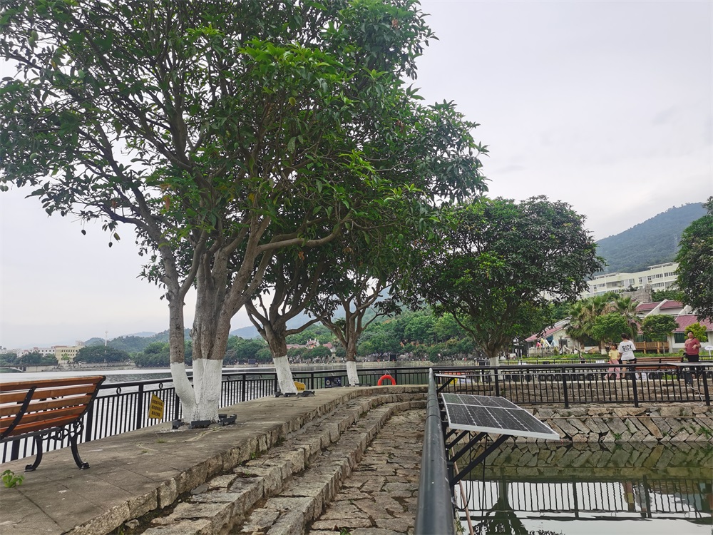 2021景區(qū)多色微光能景觀燈路燈