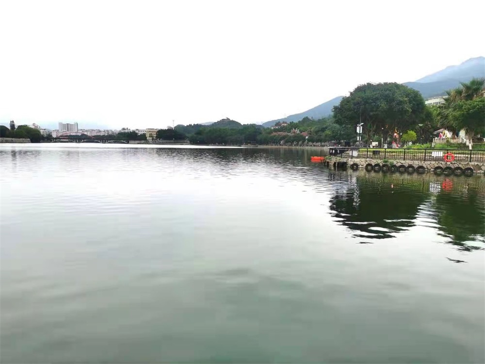 2021湖邊多色微光能景觀燈路燈