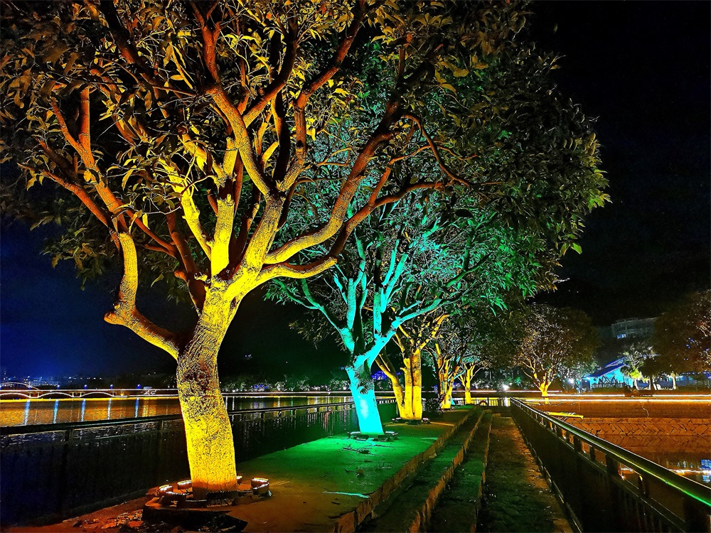 2021景區樹上多色微光能景觀燈